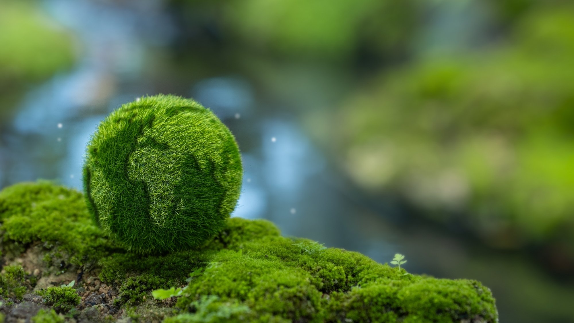 G_碳足跡盤查系統模組